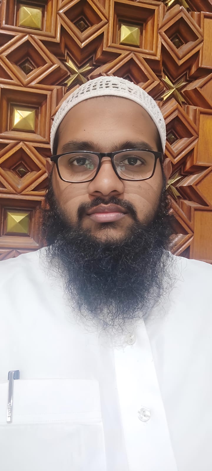 Labib Ansari